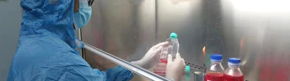 Centro de investigación y desarrollo (I + D)