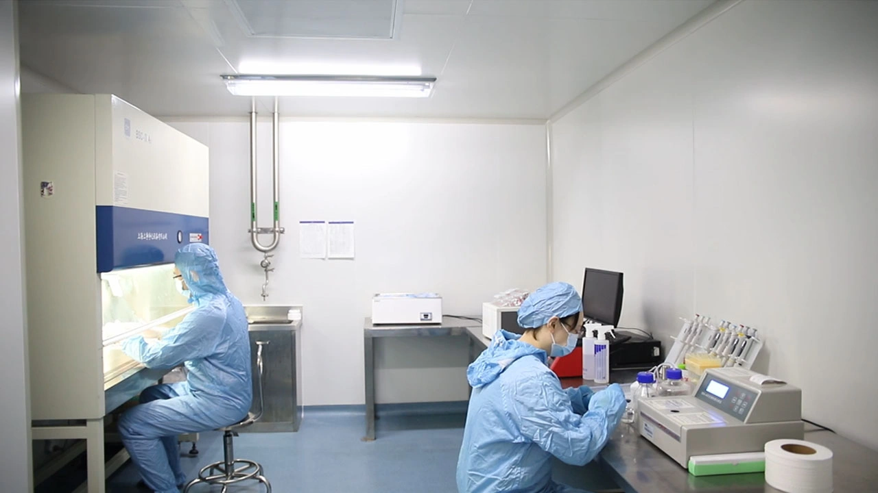 Servicio de validación