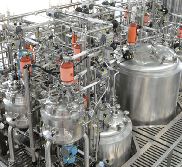 Nuestras capacidades