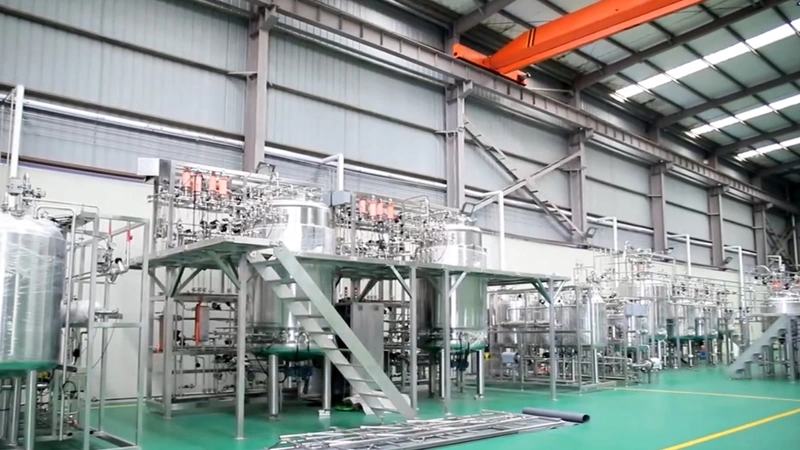 Presentación completa del proyecto