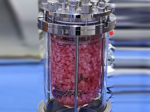 Sistema de reactores de vidrio